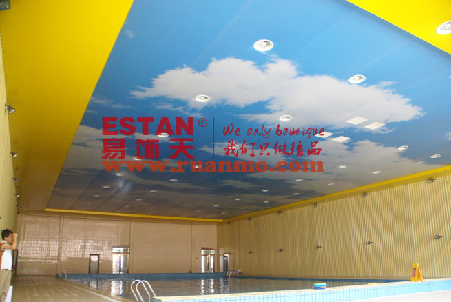 企業(yè)游泳館